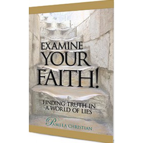 Examine Your Faith by Pamela Christian