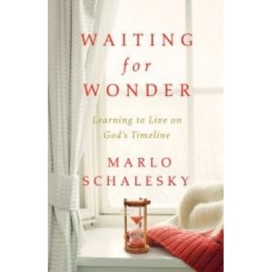 Waiting for Wonder by Marlo Schalesky