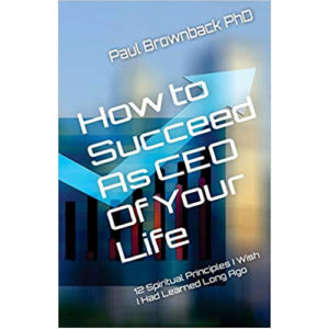 How to Succeed as CEO of Your Life by Paul Brownback PhD