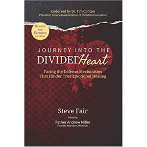 Journey Into the Divided Heart by Steve Fair