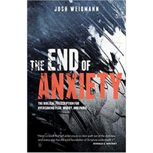 The End of Anxiety by Josh Weidmann