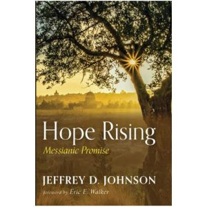 Hope Rising by Jeffrey Johnson